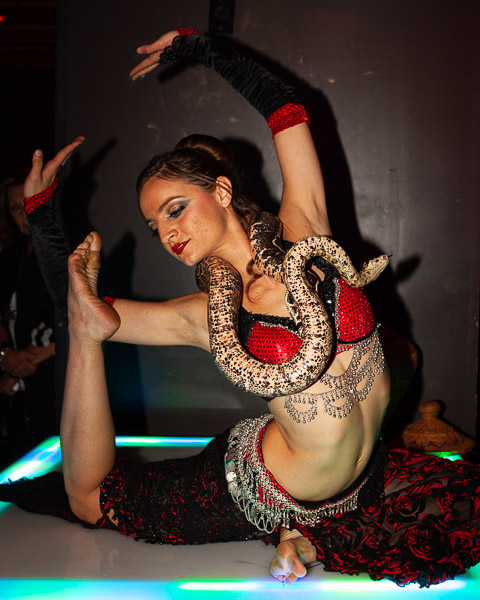 contortionist snake dancer